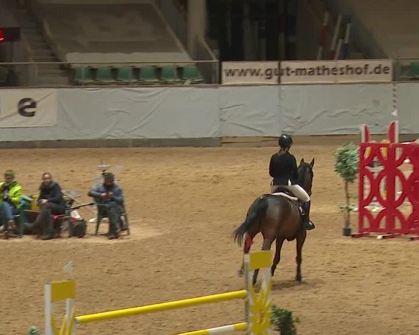 Reitturnier Kreuth/Opf. 2024
