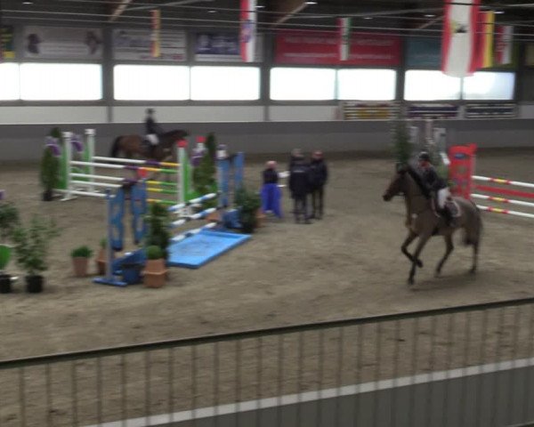 Reitturnier Luhmühlen 2024