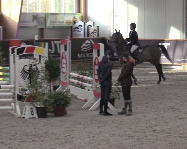Reitturnier Goch-Asperden 2024
