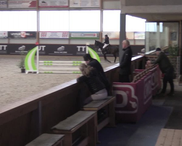 Reitturnier Goch-Asperden 2024