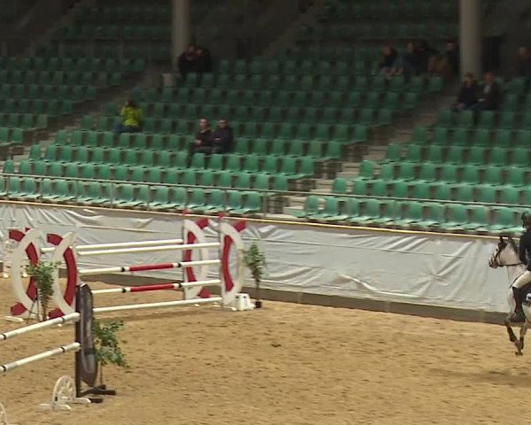 Reitturnier Kreuth/Opf. 2024