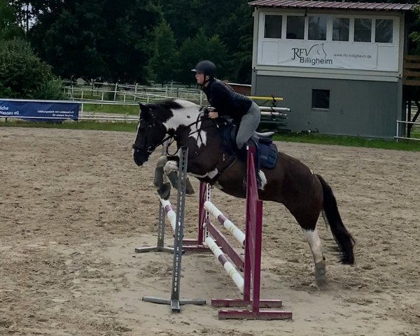 dressage horse Penelope 369 (Pony without race description, 2015, from Unbekannt Pony)