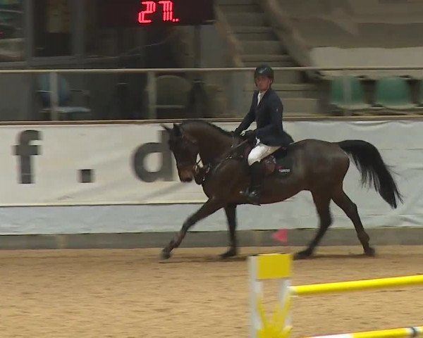 Reitturnier Kreuth/Opf. 2024