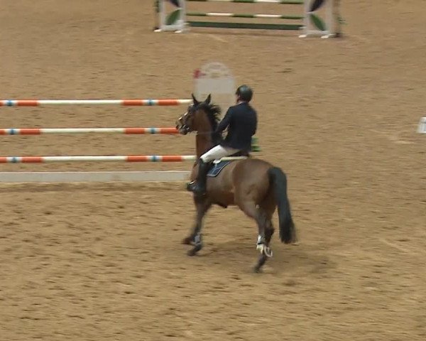 Reitturnier Kreuth/Opf. 2024