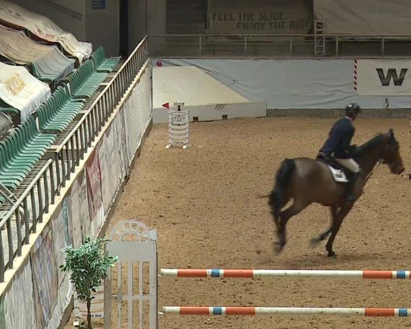 Reitturnier Kreuth/Opf. 2024