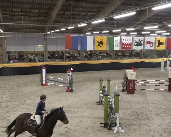 Reitturnier Erlen 2024