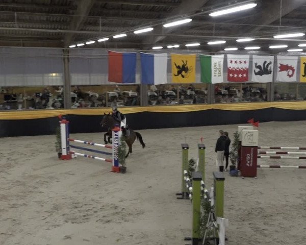 Reitturnier Erlen 2024