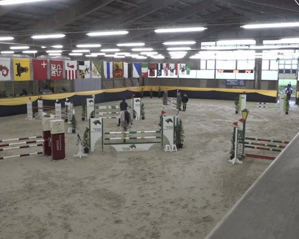 Reitturnier Erlen 2024
