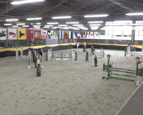 Reitturnier Erlen 2024