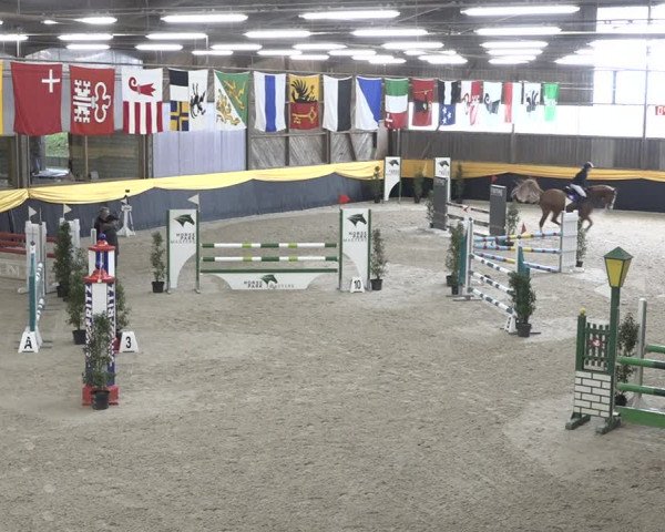 Reitturnier Erlen 2024