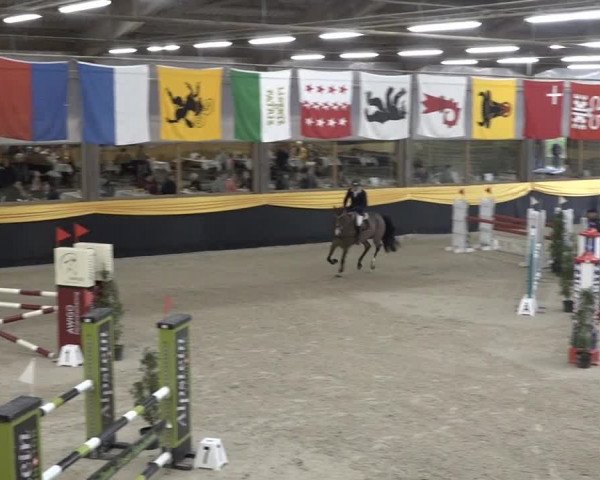 Reitturnier Erlen 2024