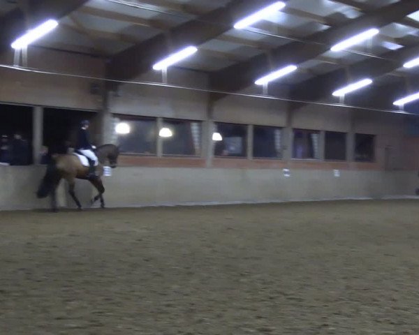 Reitturnier Lembeck 2024