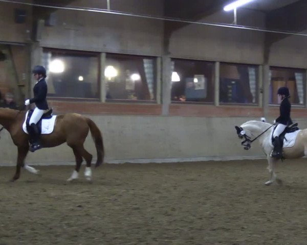 Reitturnier Lembeck 2024