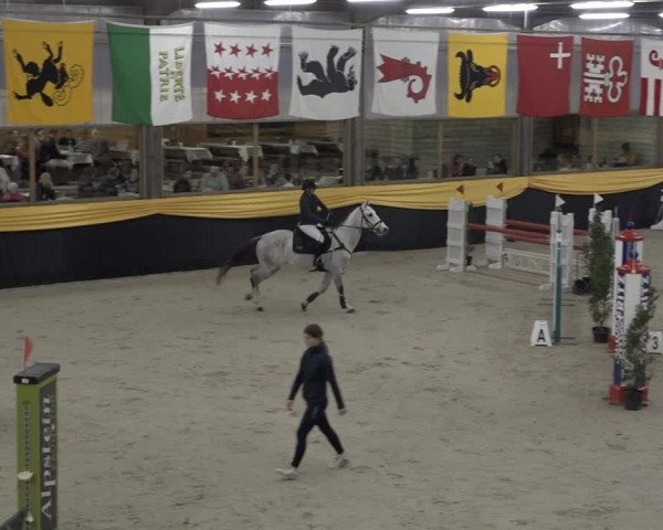 Reitturnier Erlen 2024