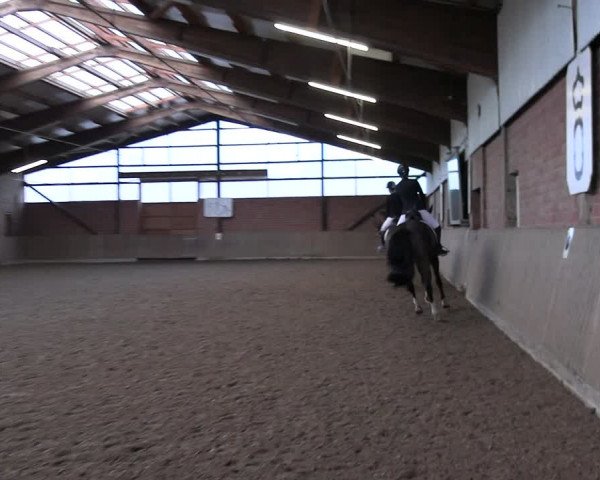 Reitturnier Lembeck 2024