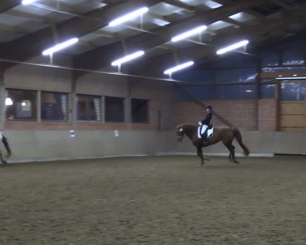 Reitturnier Lembeck 2024
