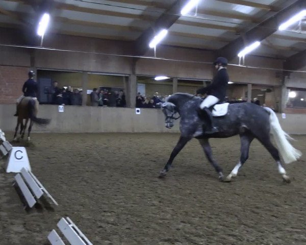 Reitturnier Lembeck 2024