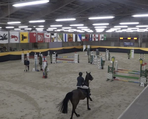 Reitturnier Erlen 2024