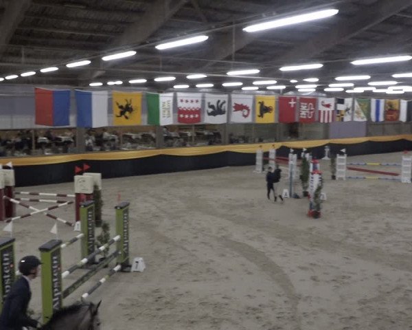 Reitturnier Erlen 2024