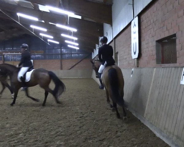 Reitturnier Lembeck 2024