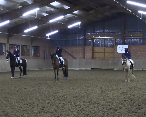 Reitturnier Lembeck 2024