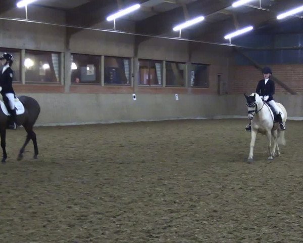Reitturnier Lembeck 2024