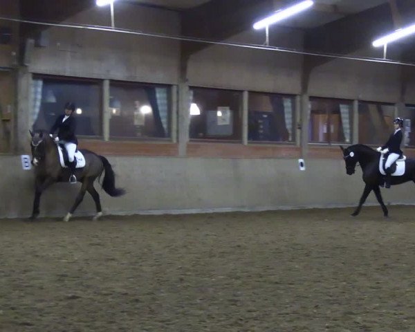 Reitturnier Lembeck 2024