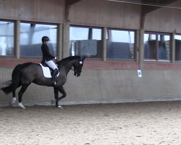 Reitturnier Lembeck 2024