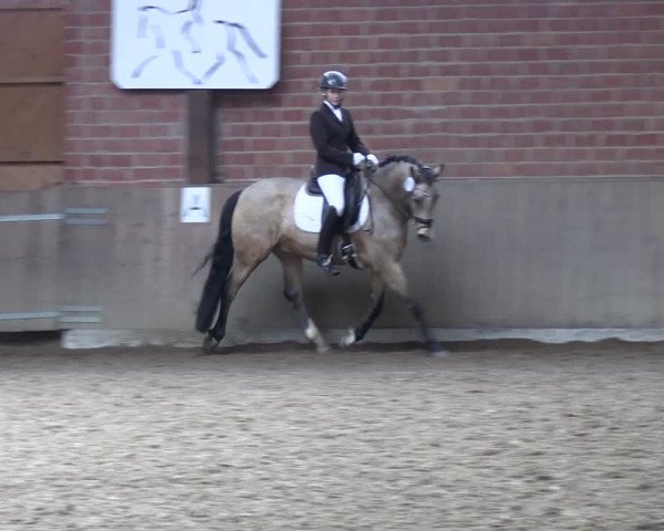 Reitturnier Lembeck 2024