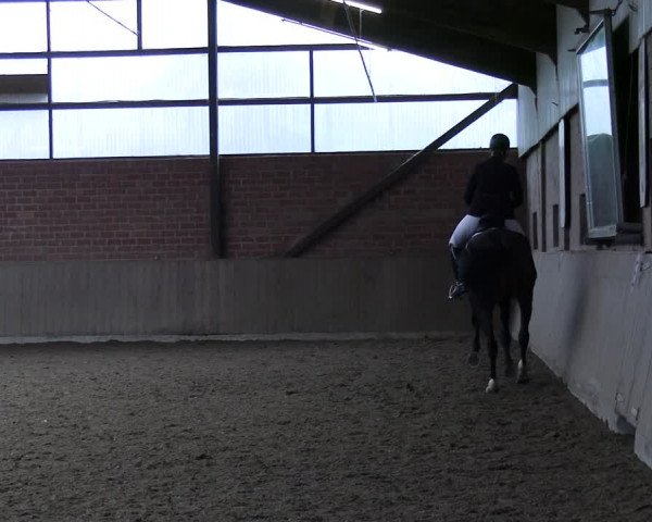 Reitturnier Lembeck 2024