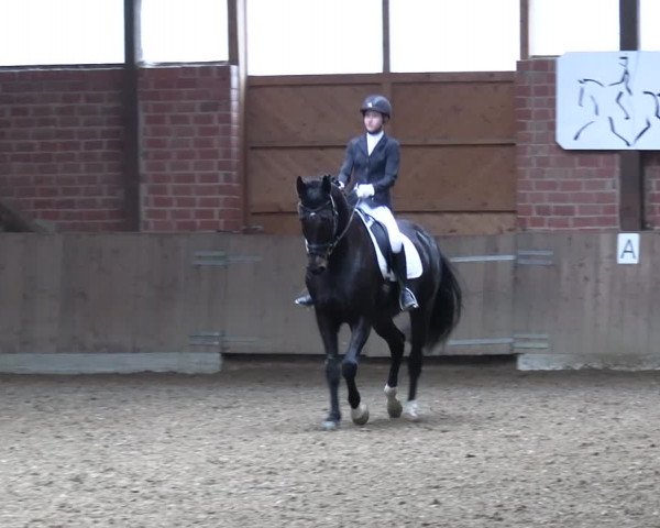 Reitturnier Lembeck 2024