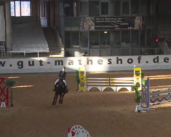 Springturnier Kreuth 2021