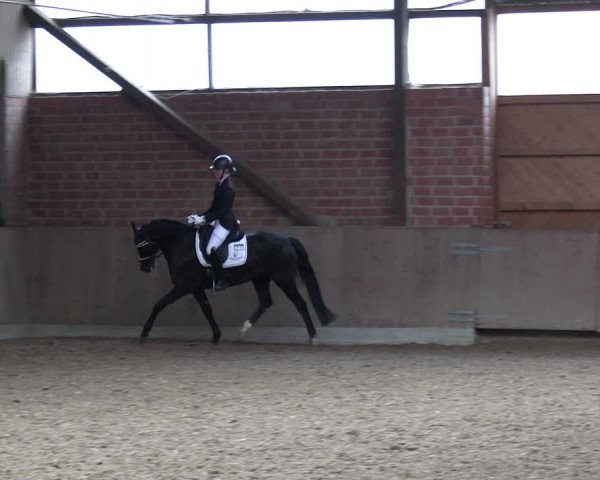 Reitturnier Lembeck 2024