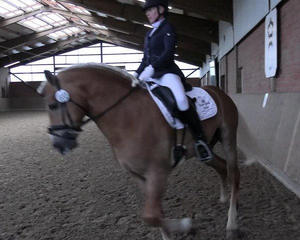 Reitturnier Lembeck 2024