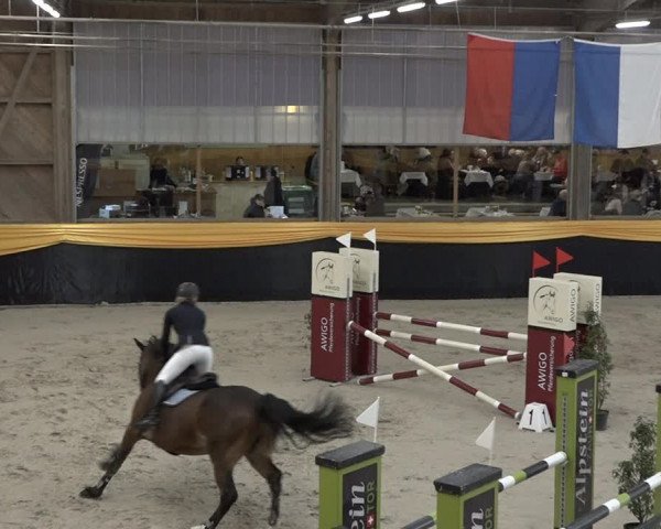 Reitturnier Erlen 2024