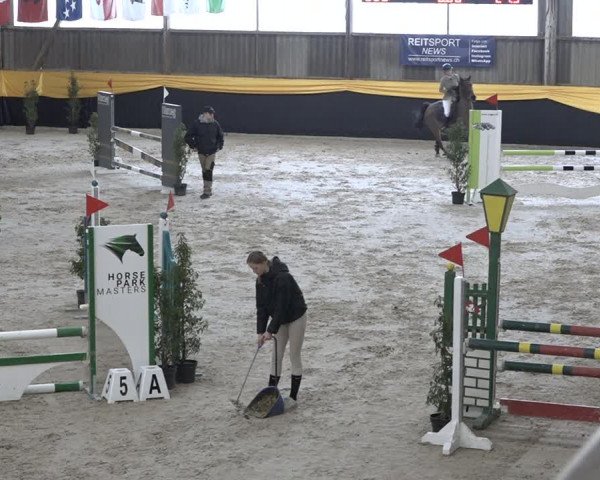 Reitturnier Erlen 2024