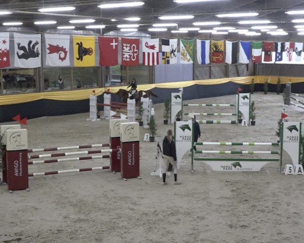 Reitturnier Erlen 2024