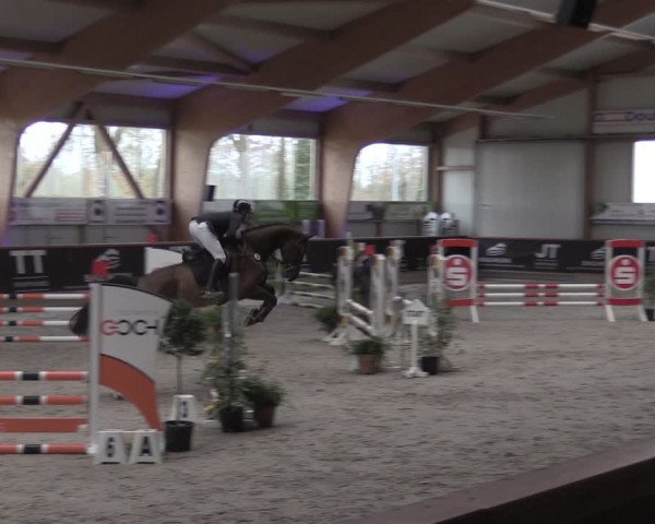 Reitturnier Goch-Asperden 2024
