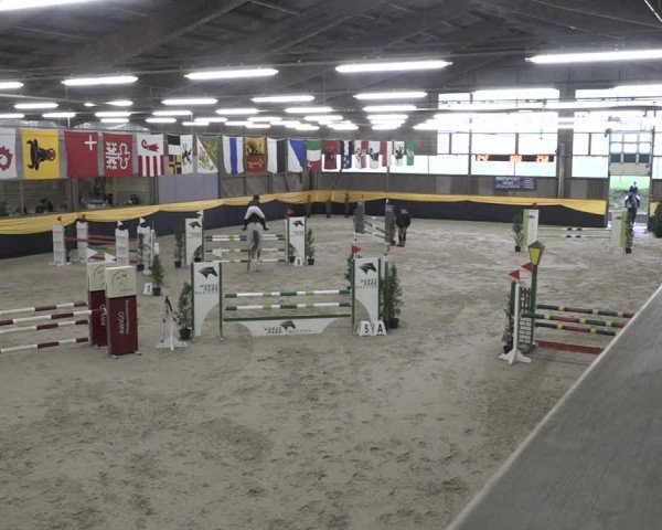Reitturnier Erlen 2024