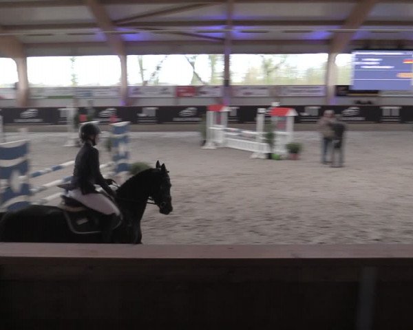 Reitturnier Goch-Asperden 2024