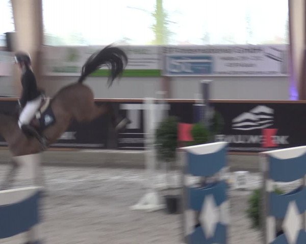 Reitturnier Goch-Asperden 2024