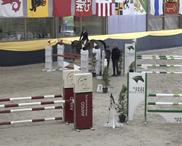 Reitturnier Erlen 2024