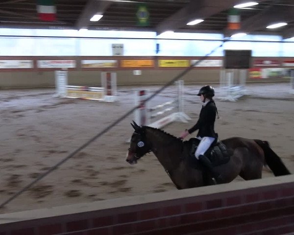 Reitturnier Lembeck 2024