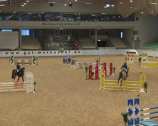 Reitturnier Kreuth/Opf. 2024
