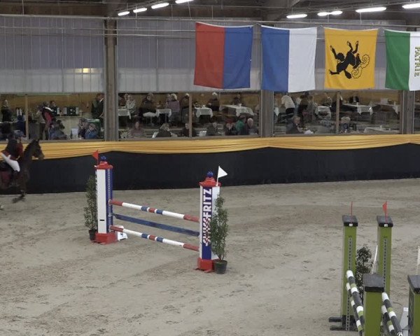 Reitturnier Erlen 2024