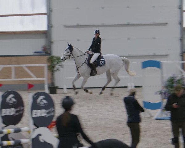 Reitturnier Borken 2024