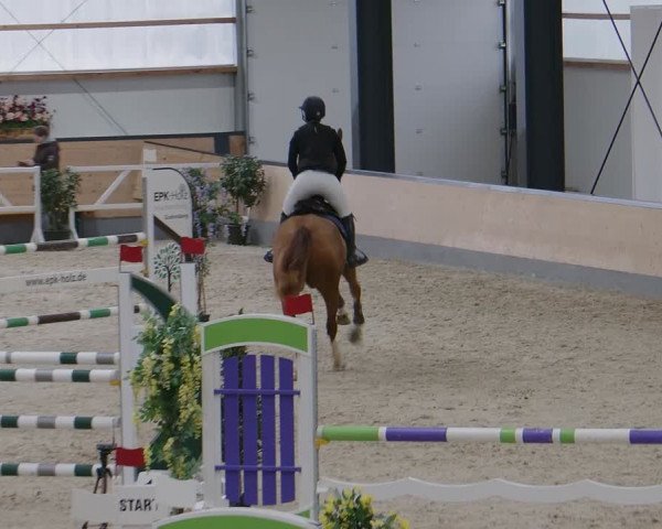 Reitturnier Borken 2024