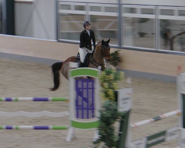 Reitturnier Borken 2024