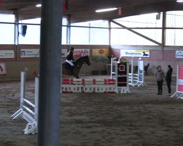 Reitturnier Lembeck 2024