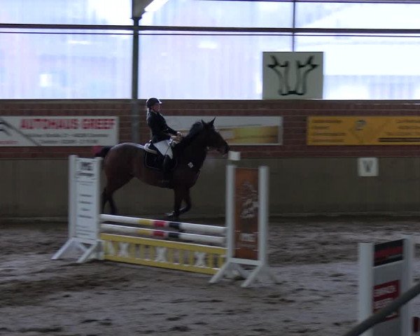 Reitturnier Lembeck 2024